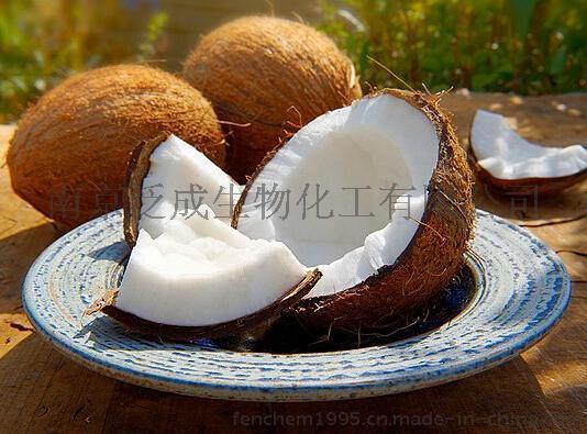 进口椰子粉 泰国 马来西亚
